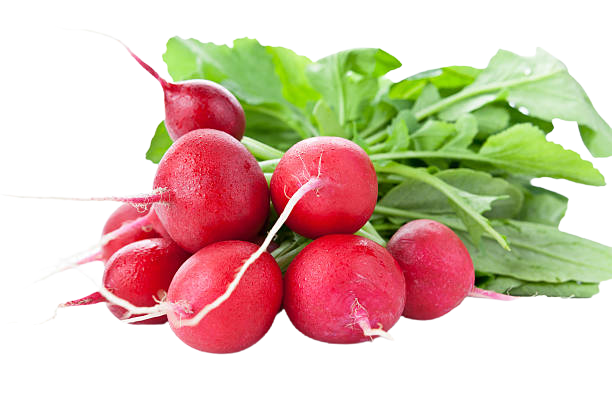Red Raddish with leaves