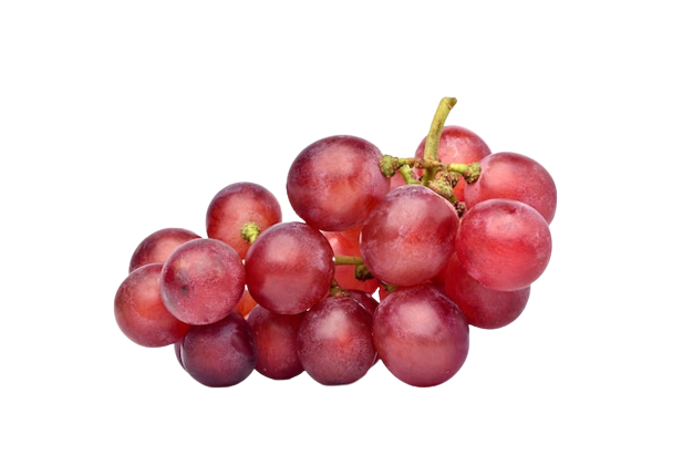Rizmat Grapes Uzbekistan