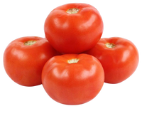 Round Red Tomato